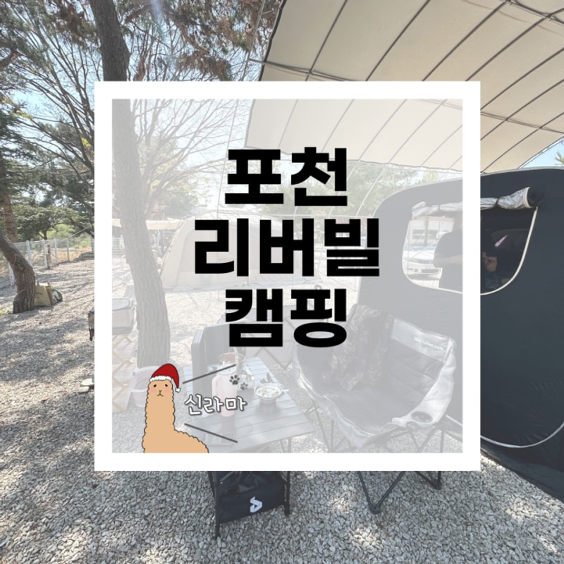 [포천 리버빌캠핑장] 서울근교 포천 애견동반 가능한 캠핑장...