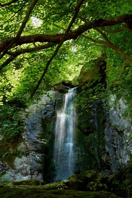 매월대폭포 캠핑장 대표 사진