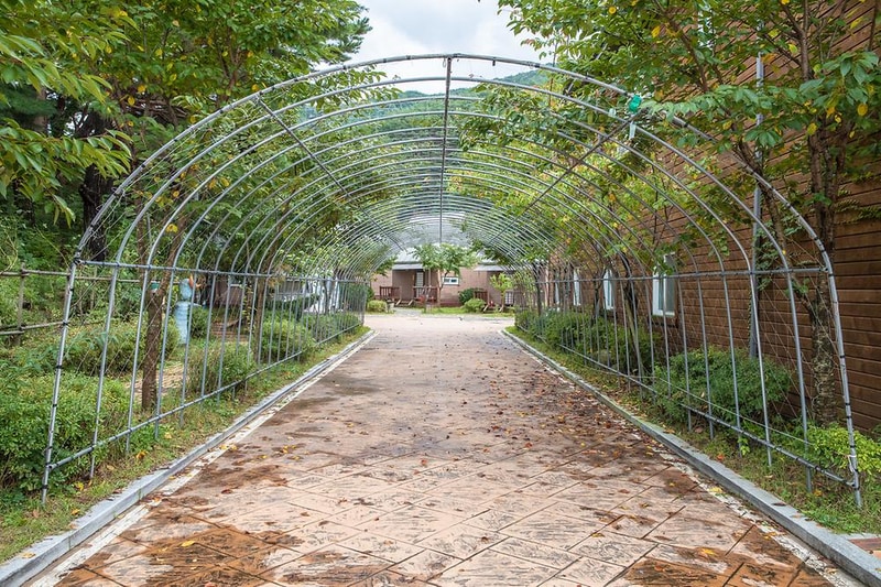 솔내음 캠핑장 시설 사진 15