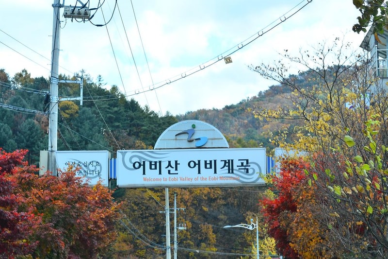 유명산힐링캠프 시설 사진 5