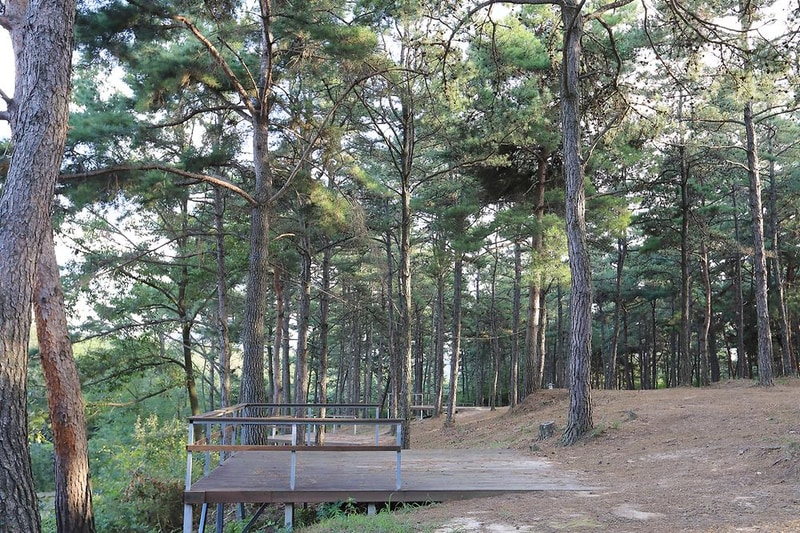 파인힐캠프 시설 사진 1