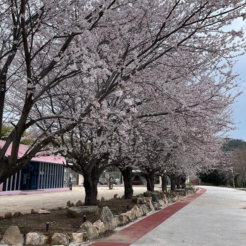 시선글램핑 시설 사진 3