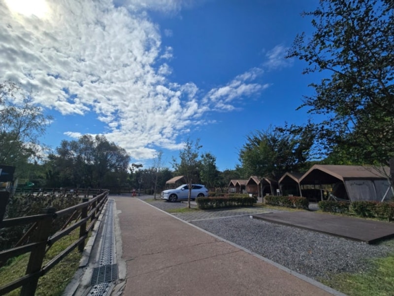 서울근교 캠핑장 구리 토평 가족캠핑장에서 가을로 첫 캠핑