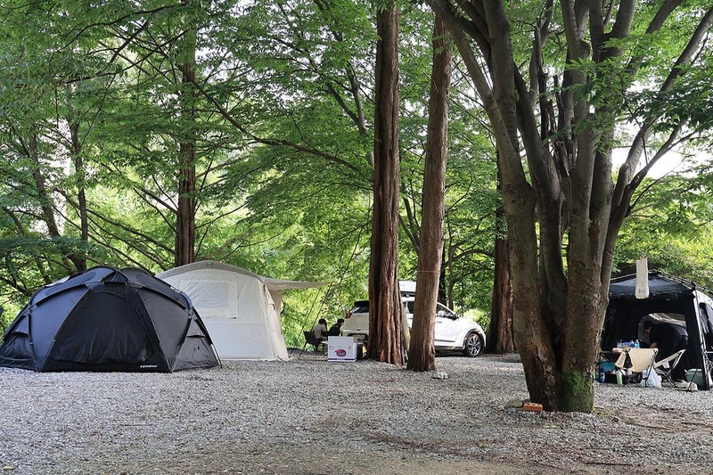 태양힐링숲 시설 사진 7