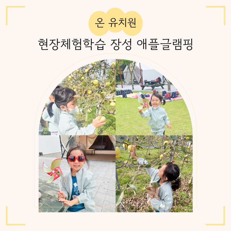 방림유치원 가을 소풍 장성 애플글램핑에서 딴 황금사과 시나노...