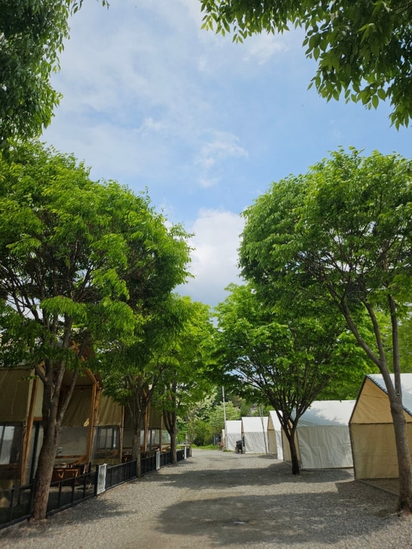 [캠핑] 가평잣향기푸른숲 캠핑장_사이트 추천, 4인 캠핑장...