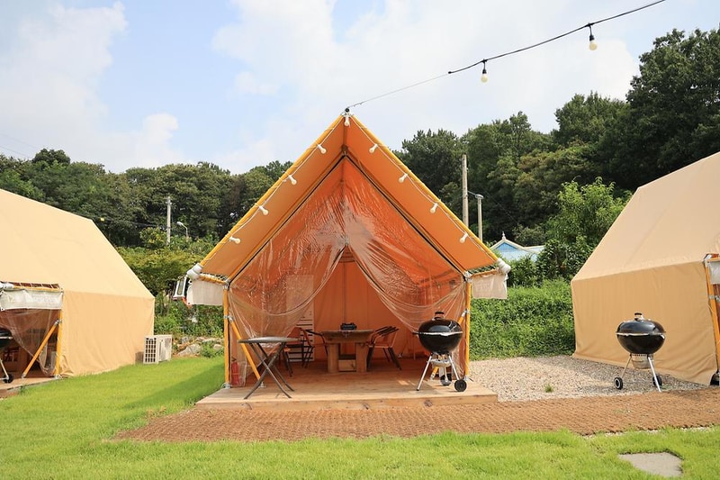 포레스트 도일 시설 사진 3