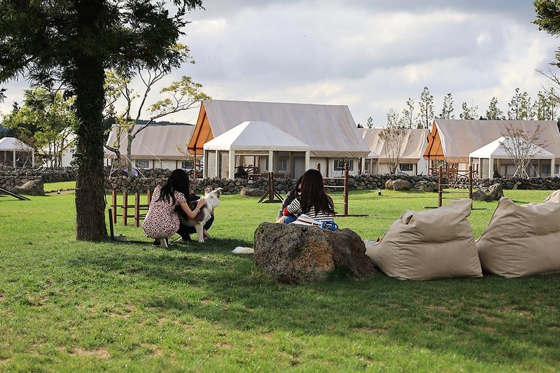 스타빌 시설 사진 15