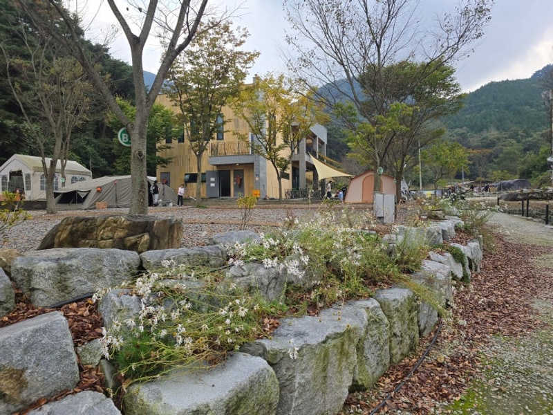 정읍일곱식구캠핑장 정읍캠핑장 할로윈캠핑장 전북캠핑장...
