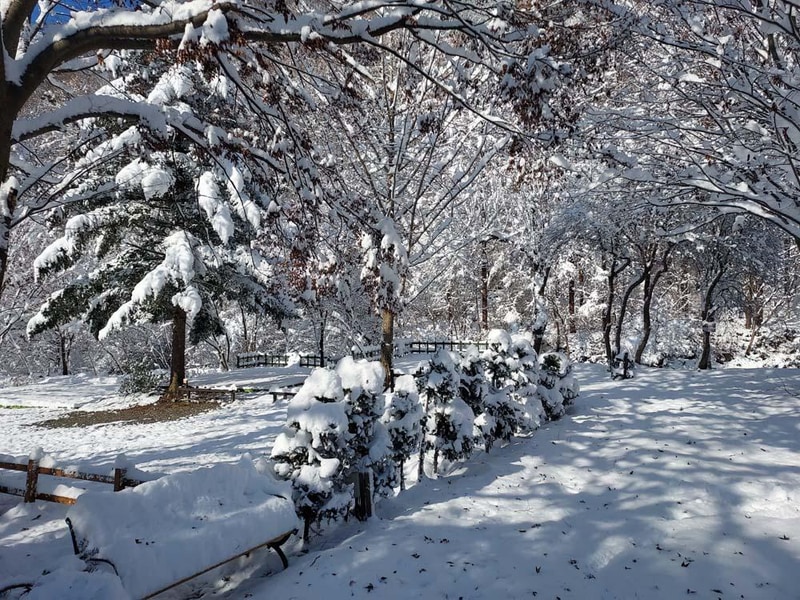 횡성산울림오토캠핑장 시설 사진 41