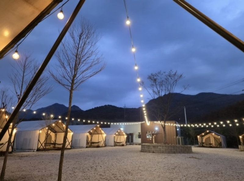 [포천] 아이랑 가기 좋은 경기도 포천글램핑, 호랑이캠핑장...