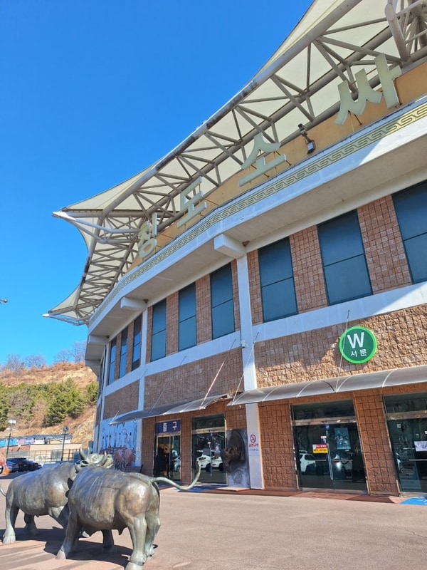 청도 1박 2일 여행: Day1 (소싸움,한국 코미디 타운,글램핑포엠)