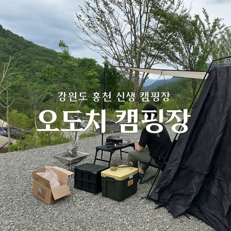 [강원도 홍천/오도치 캠핑장] 애견동반가능 신생 캠핑장 C1...
