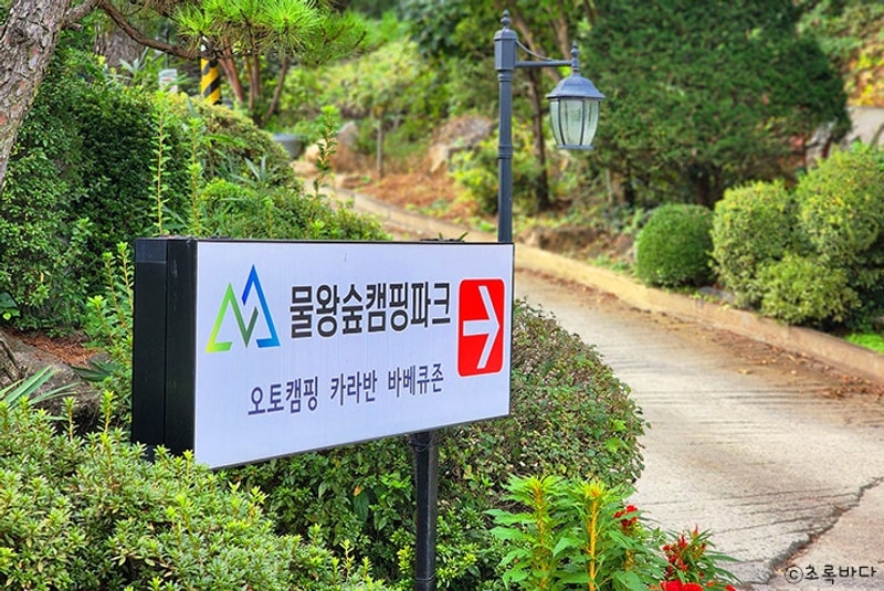 가을나들이 겸 회식을 시흥 물왕숲캠핑파크에서...