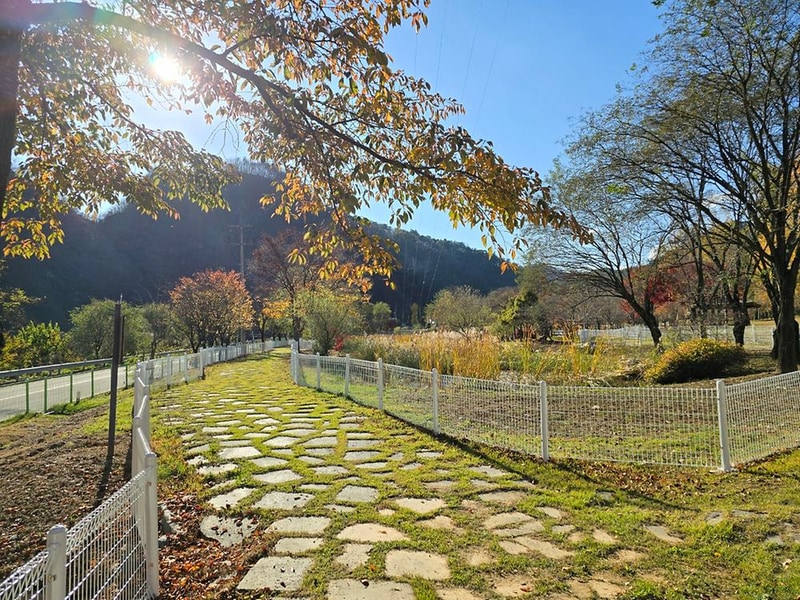 정선군생태체험학습장야영장 펫 동반 캠핑장 시설 사진 6