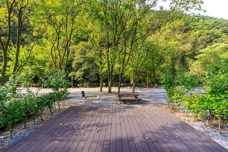 포레스트힐링캠프 시설 사진 16