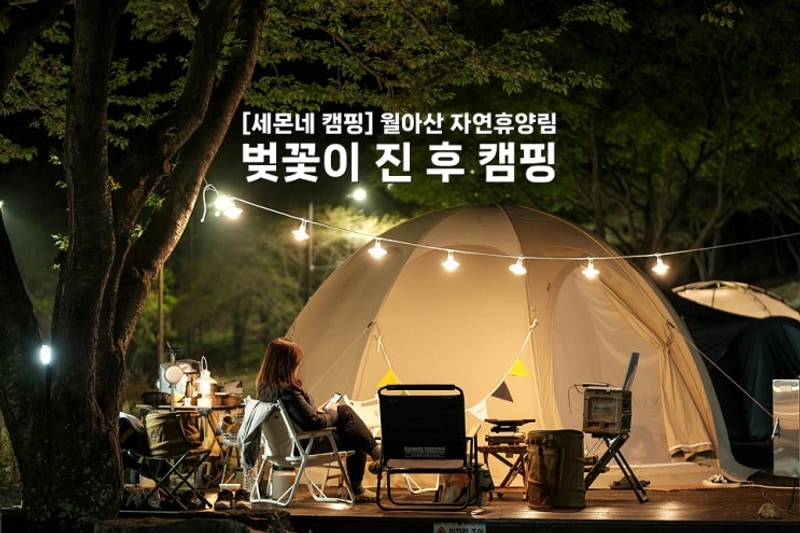 캠핑_월아산 자연휴양림과 숲속의 진주 (feat. 아늑텐트 탄)