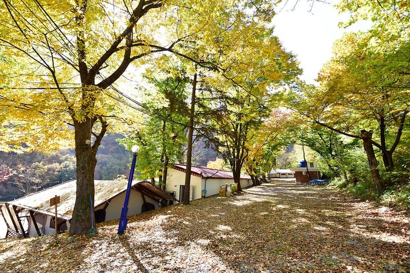 별빛누리 글램핑 시설 사진 4