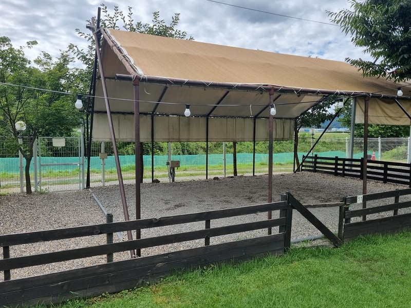 루파니애견캠핑장 시설 사진 12