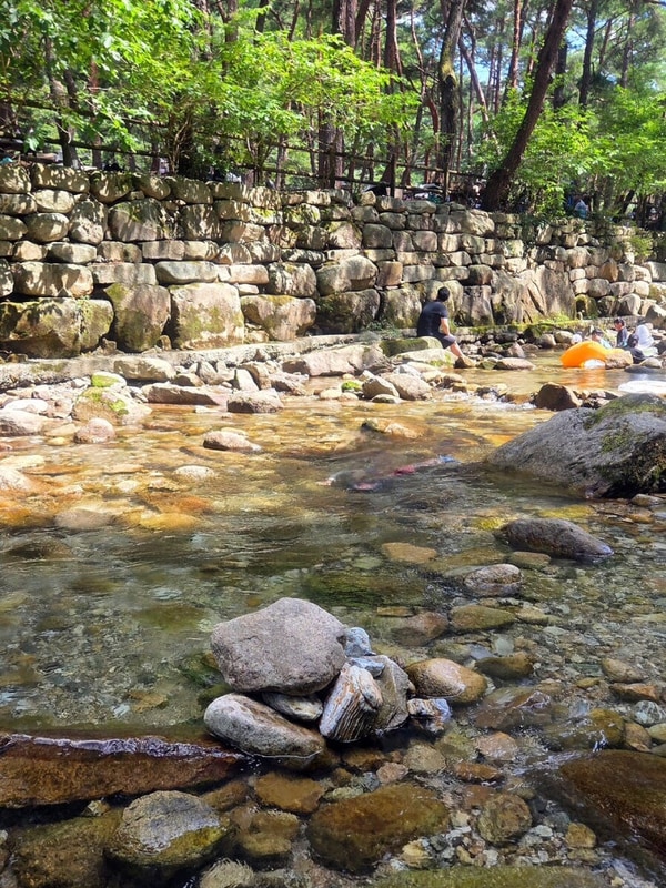 [ 월악산 국립공원 덕주야영장 ] 충북 제천 계곡추천, 무료 취사...