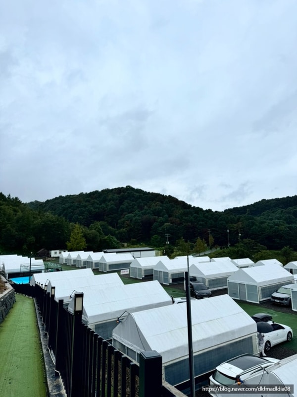 포천 캠핑장 사계절 수영장과 애견 동반이 가능한 캠프다온 A...