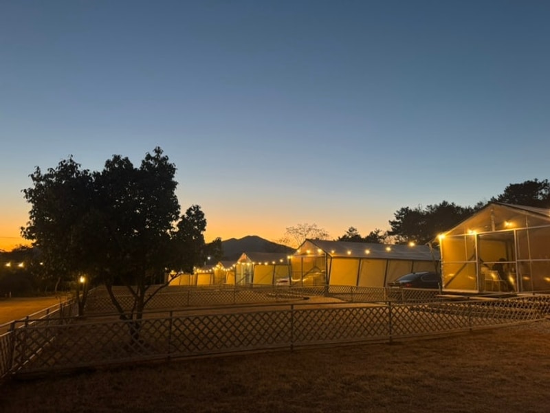 전남 장흥 캠핑장 추천, 개별... 캠핑장 ‘땡땡이 글램핑’ 모든...