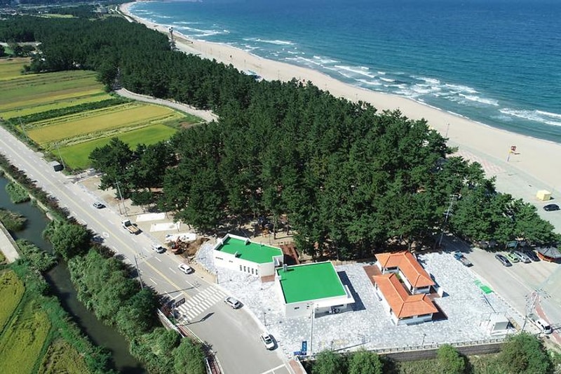 맹방 비치캠핑장 대표 사진