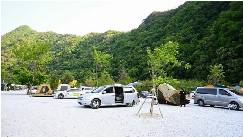 파인트리캠핑장 시설 사진 4