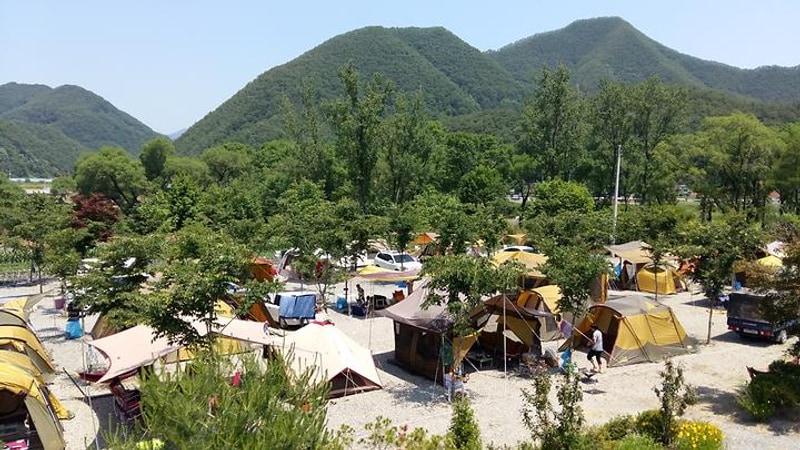 보보스캇 캠핑장 대표 사진