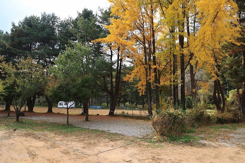 일영Star캠핑장 시설 사진 15