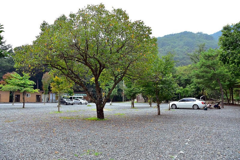 계곡메사 오토캠핑장펜션 시설 사진 15