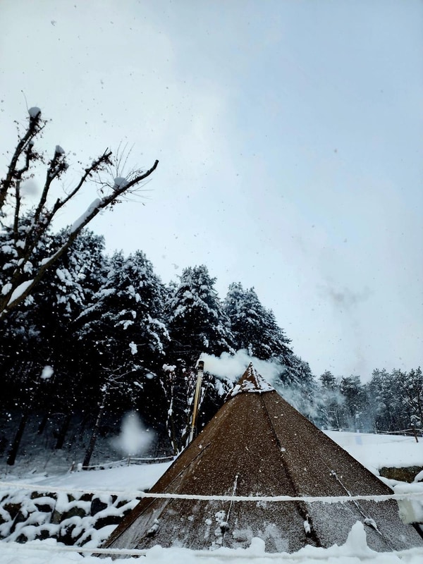 구릉지캠핑장 시설 사진 8