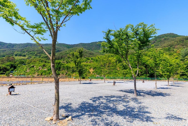 엠와이힐링캠핑장 시설 사진 8