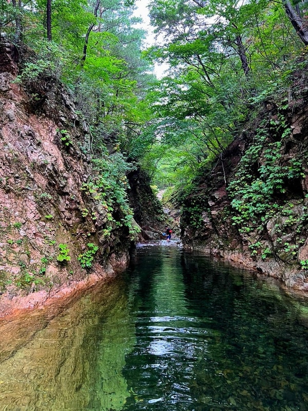 울산바위 캠핑느루 예약 강원도 고성 캠핑장 미시령 계곡 N4 추천