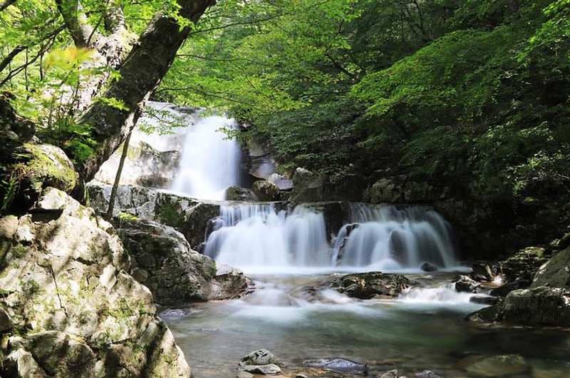 방태산 자연휴양림 캠핑장 대표 사진
