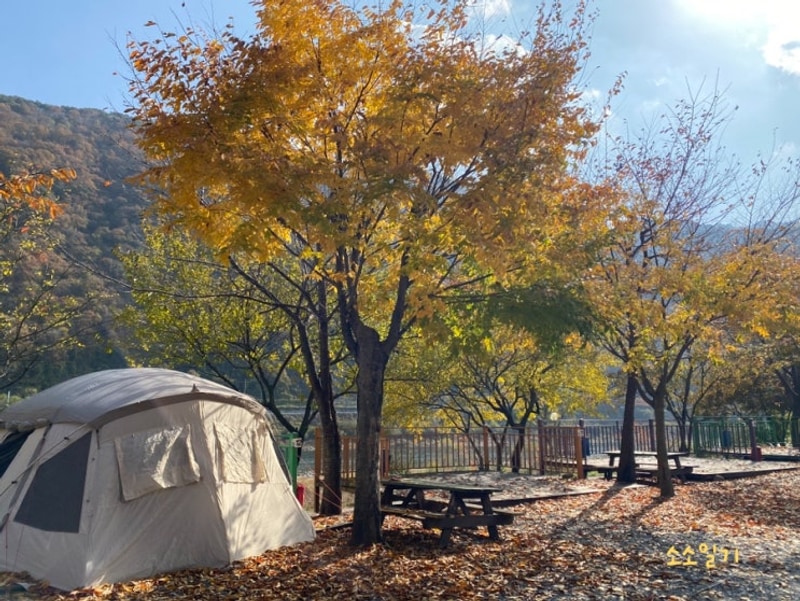 단양무지개 오토캠핑장 : 가을 만끽 캠핑