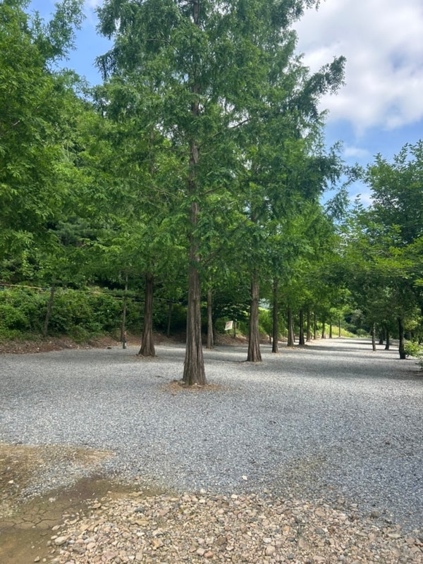 경북 문경 리우캠핑장 키즈캠핑 추천