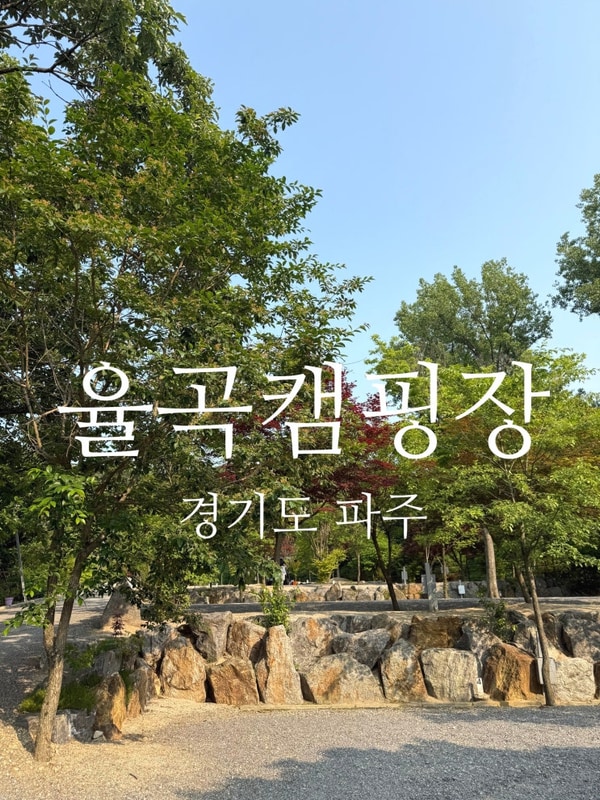 수도권 근교 캠핑장 파주 율곡캠핑장 캠핑장추천