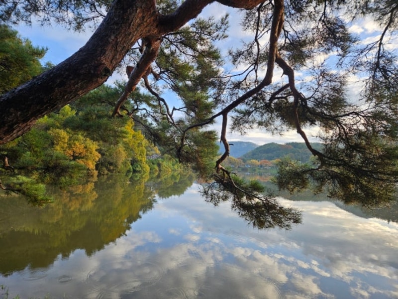 캠핑 1박 2일(진주 청춘별곡)