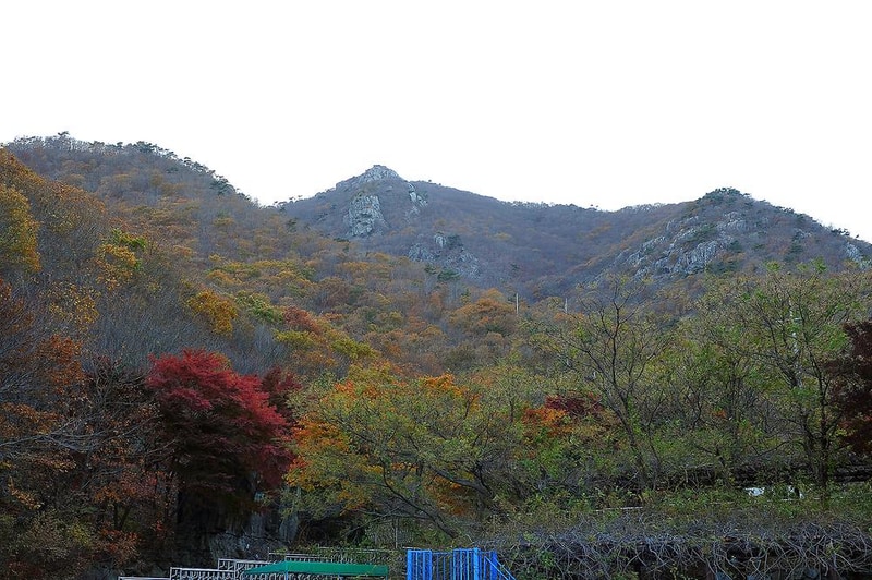 팔영산 자연휴양림 야영장 시설 사진 11