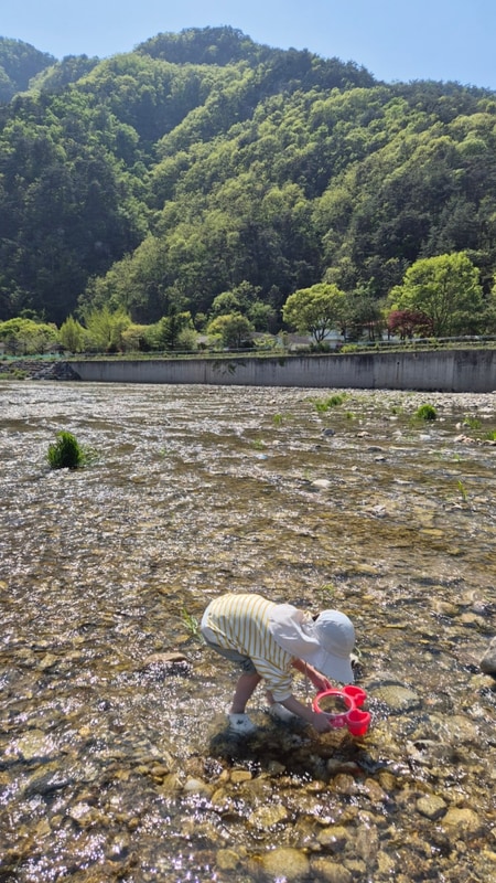 강원도 원주 칠봉송정캠핑장을 다녀왔어요!