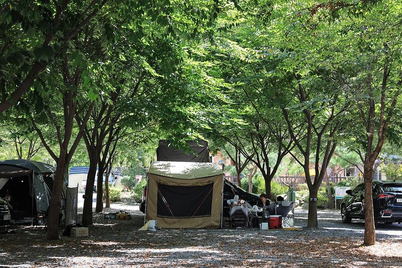 다 그린 시설 사진 6