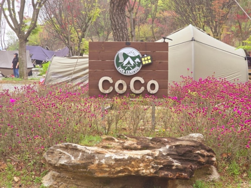 애완견과 함께 할 수 있는 작고 조용한 가족캠핑장 "코코캠핑"