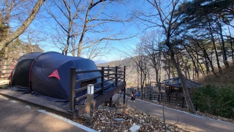 84번째 캠핑) 부산근교 김해 신어산자연숲캠핑장 들 사이트 소개
