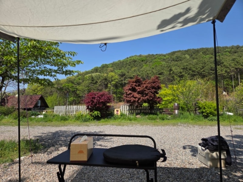 김포 애견동반 캠핑장 아늑하고, 강아지 친화적인 봉바위농원...