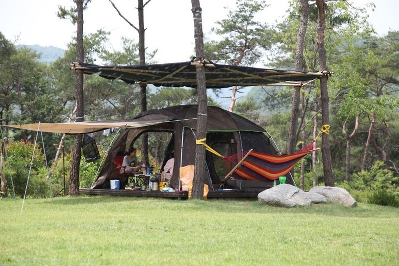 숲속의베리팜 시설 사진 39