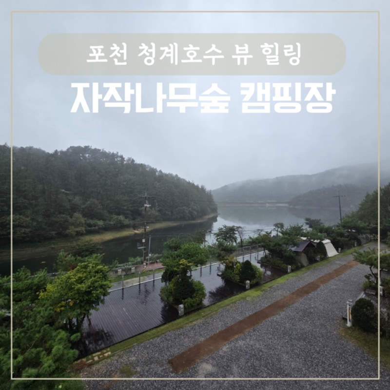 경기도 포천 힐링 감성 청계호수 뷰 좋은 자작나무 숲 캠핑장