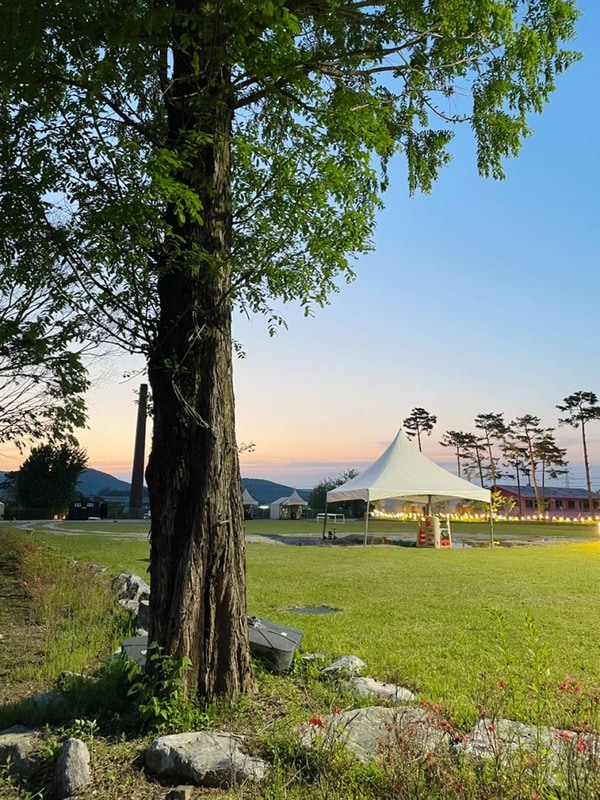 파주 차박 키즈 캠핑장 해브펀 D13번 후기 부대시설 명당 수영장