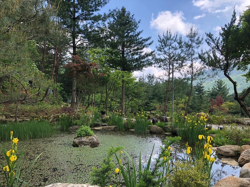 덕동리301캠핑장 시설 사진 2