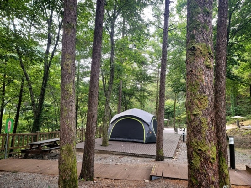 어느새 가을이 왔네요...화천 만산동국민여가캠핑장 솔캠